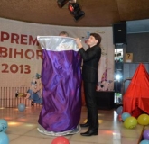 premiile-lui-bihorel-2013-oradea-bihoreanul_050